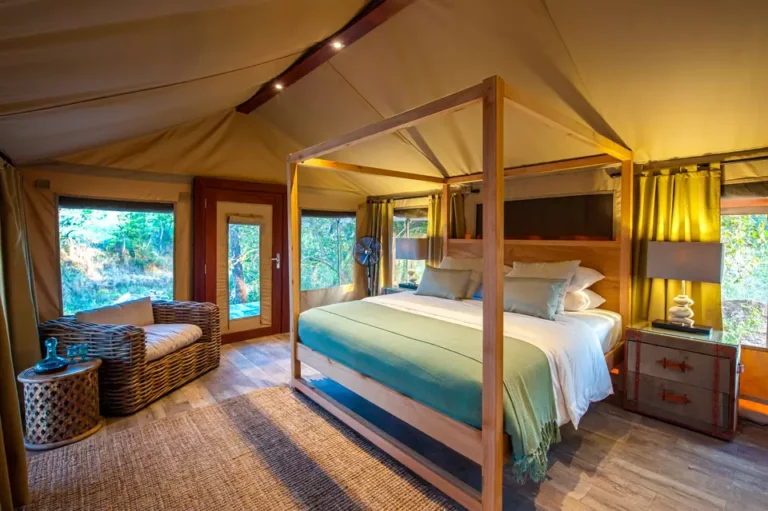 Tarangire-National-Park-Nimali-Tarangire (2)