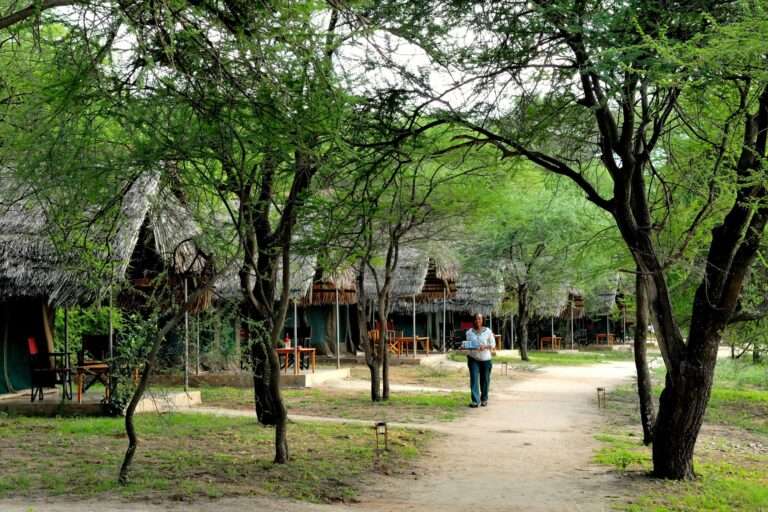accommodatie-tarangire-safari-lodge00018