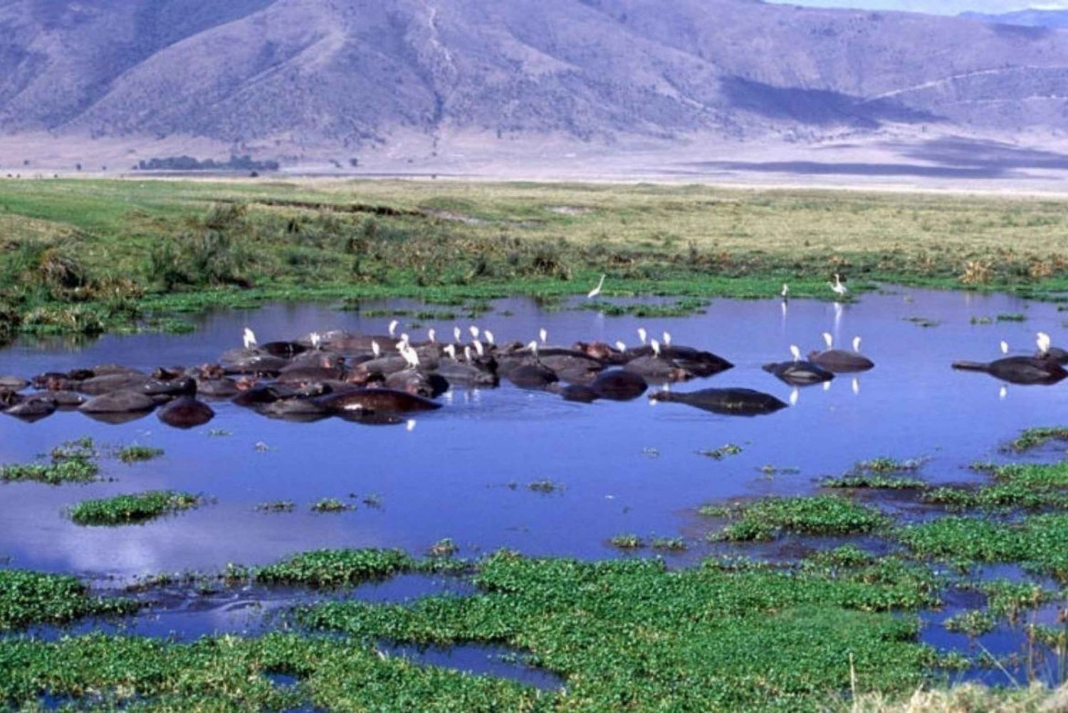 Ngorongoro Crater to Arusha