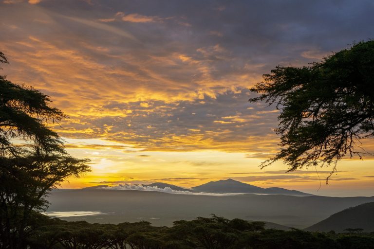 Ngorongoro Lion's Paw Camp 7