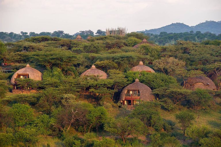 Serengeti Serena Safari Lodge 2