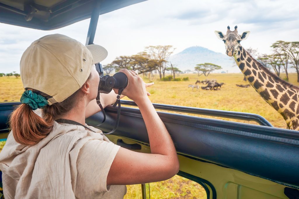 What to expect on a safari in Tanzania?