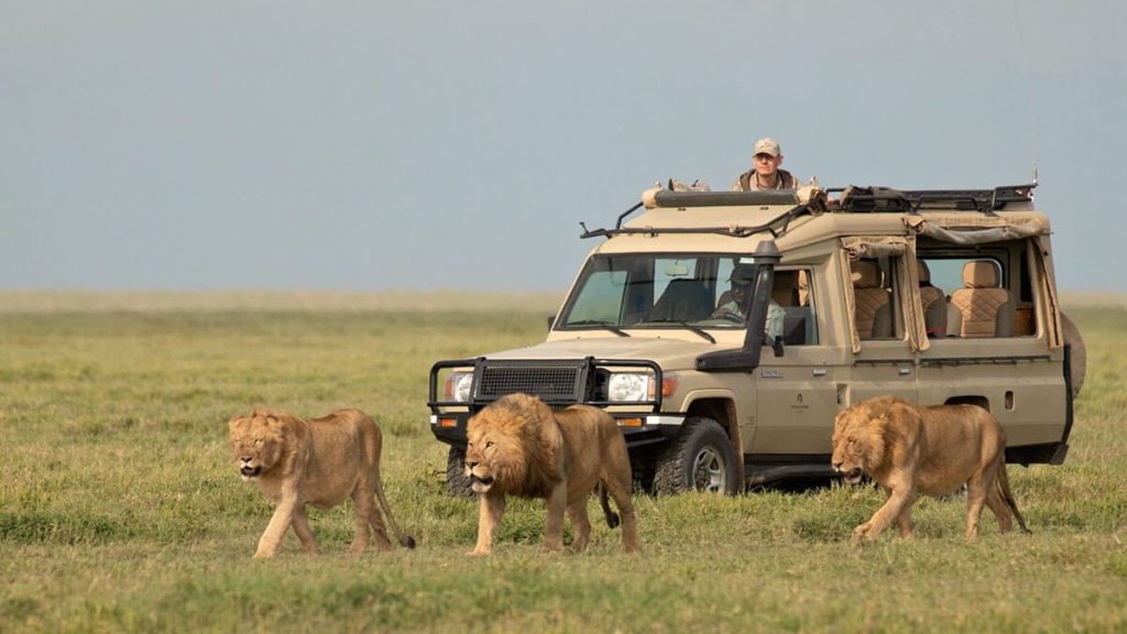 When is the best time for a safari in Tanzania